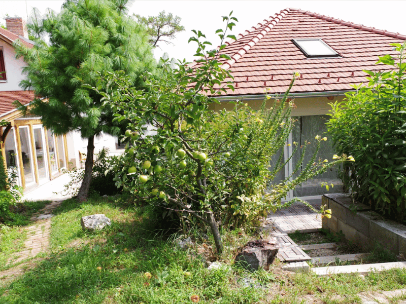 Haus